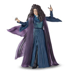 Productafbeelding Wanda Vision - Agatha Harkness Marvel Legends Series Actiefiguur