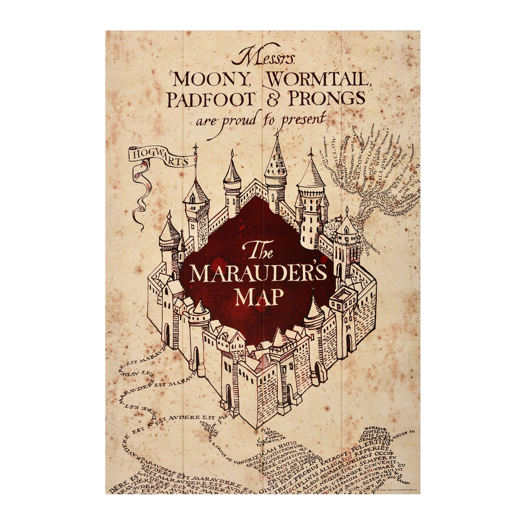 Product image Harry Potter - Marauder's Map Wall Art Wood