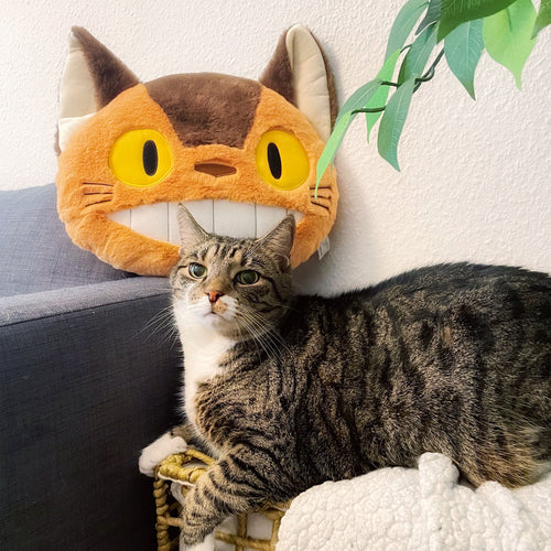 Productafbeelding Totoro - Catbus Nakayoshi Pluche Kussen