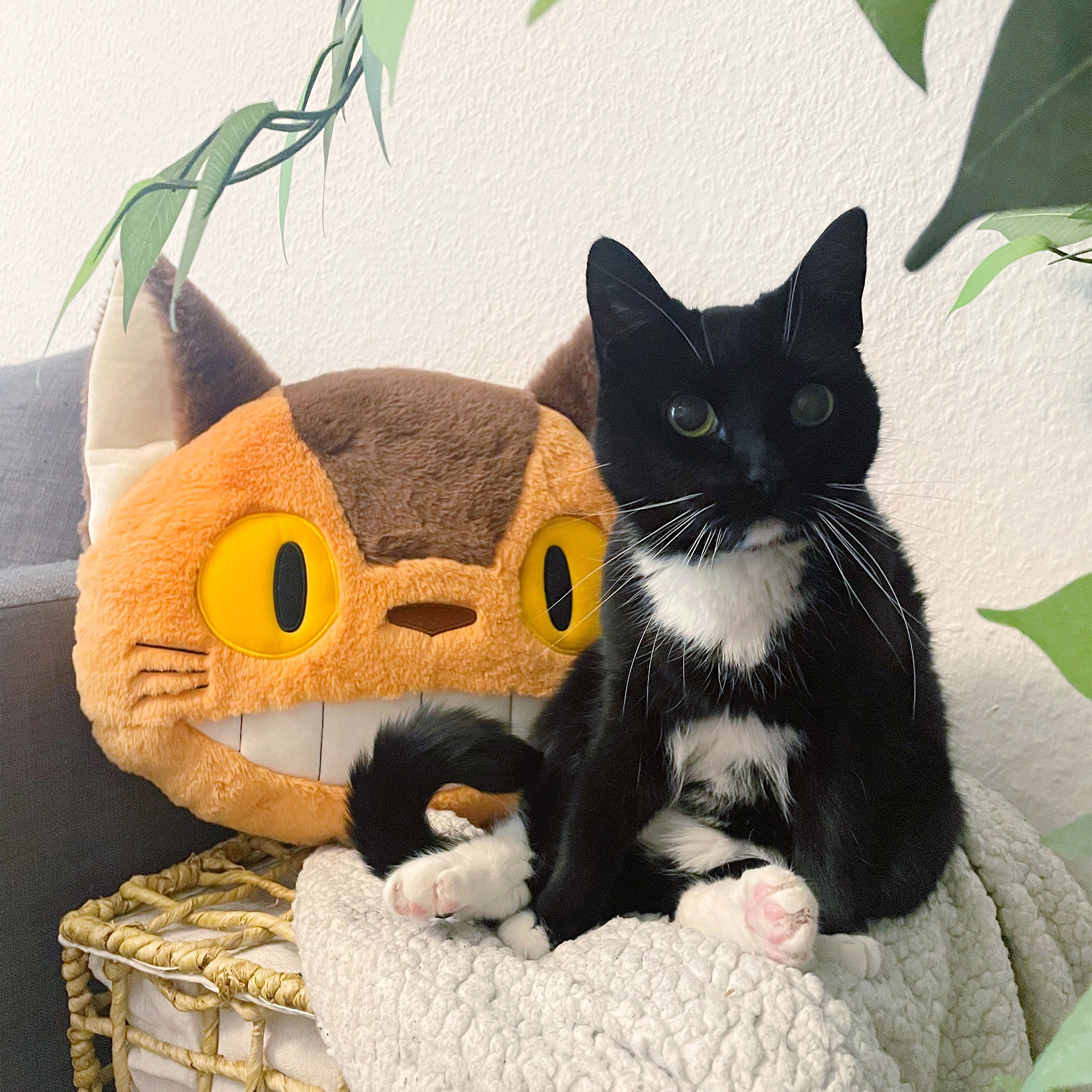 Productafbeelding Totoro - Catbus Nakayoshi Pluche Kussen