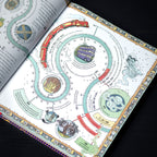 Productafbeelding De magische wereld van Harry Potter - Het officiële handboek