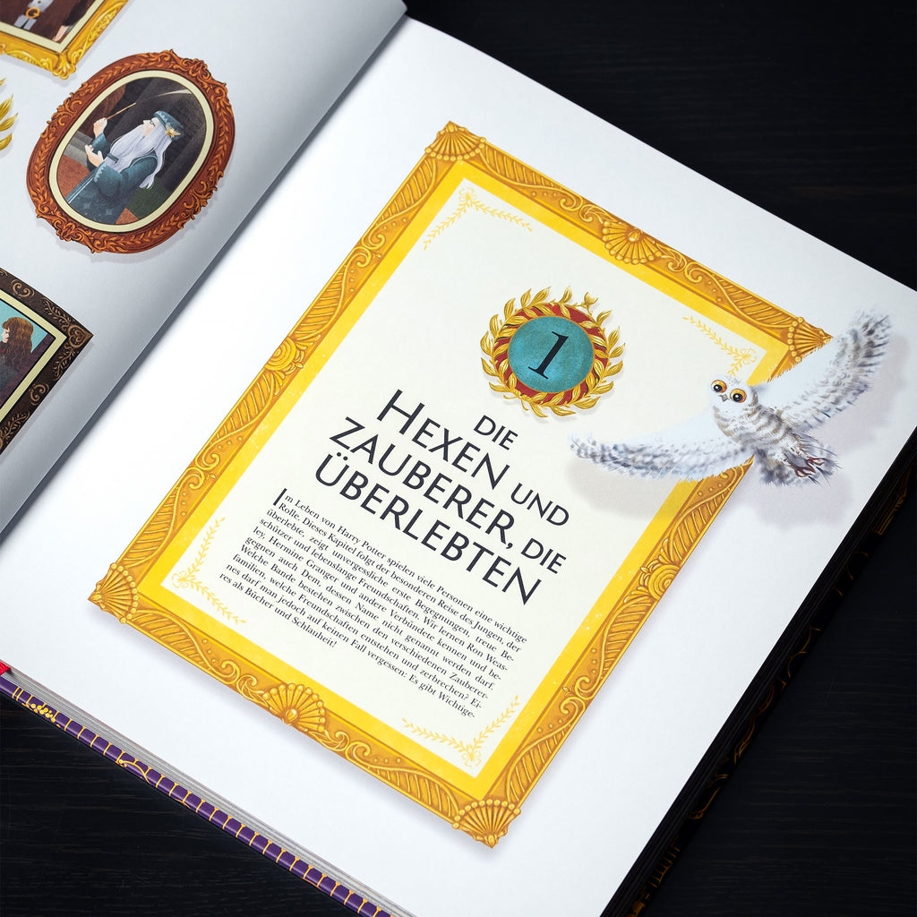 Productafbeelding De magische wereld van Harry Potter - Het officiële handboek