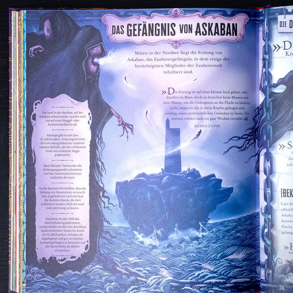 Productafbeelding De magische wereld van Harry Potter - Het officiële handboek