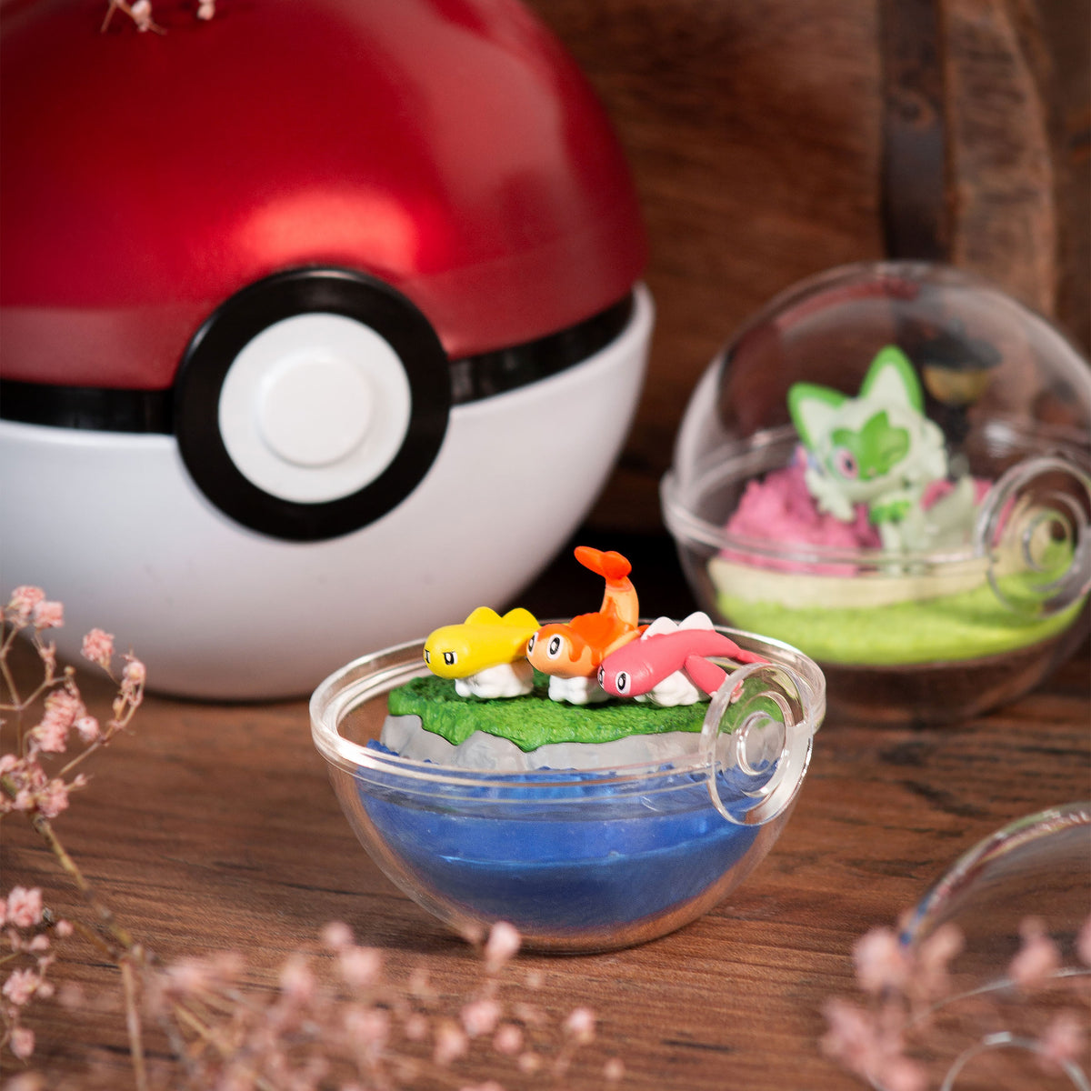 Productafbeelding Pokemon - EX Exploring Paldea Terrarium Collectie Mystery Minis Figuur