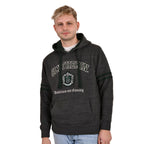 Productafbeelding Harry Potter - Slytherin Wapen Premium Hoodie grijs