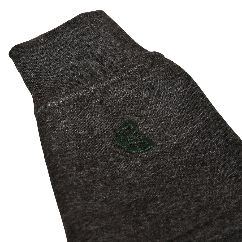 Productafbeelding Harry Potter - Slytherin Wapen Premium Hoodie grijs