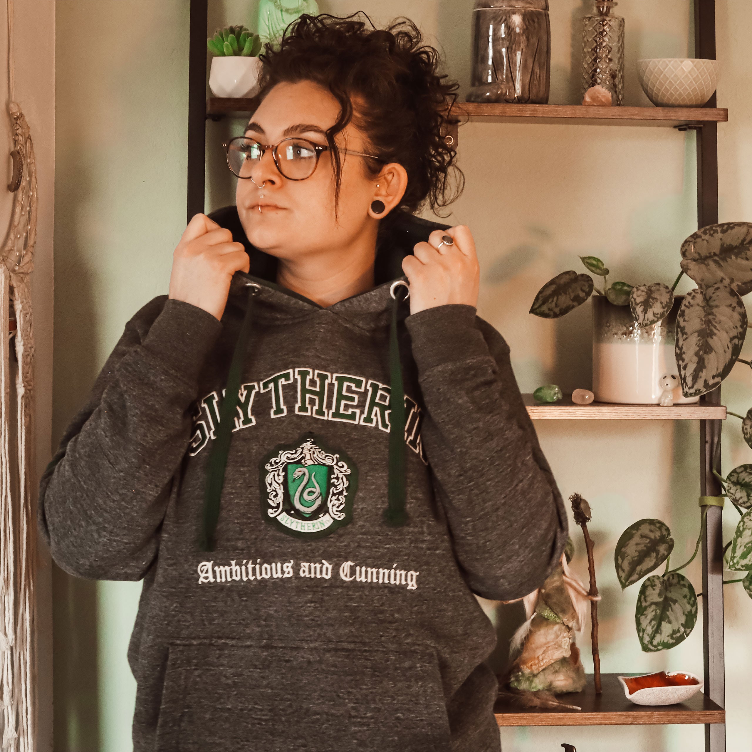 Productafbeelding Harry Potter - Slytherin Wapen Premium Hoodie grijs