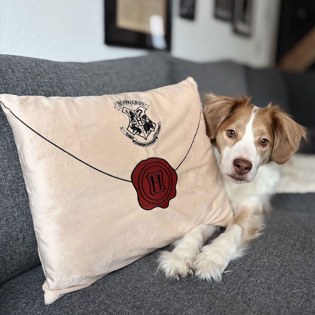 Productafbeelding Harry Potter - Hogwarts Brief Sierkussen