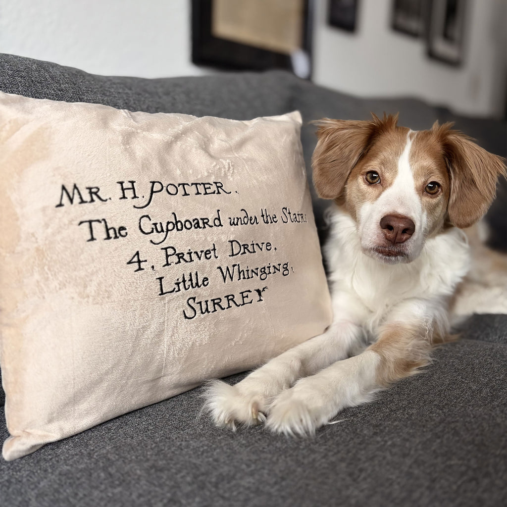 Productafbeelding Harry Potter - Hogwarts Brief Sierkussen