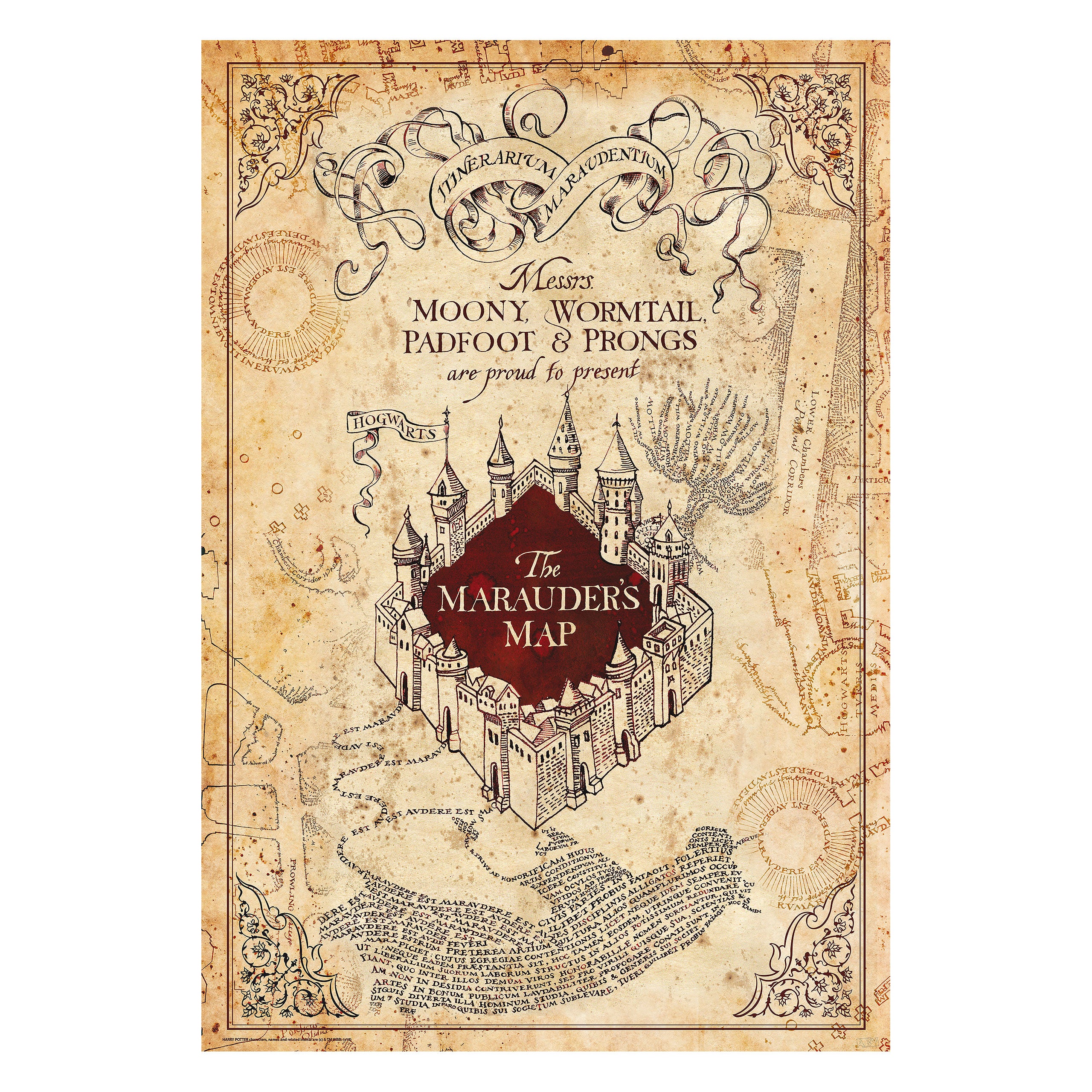 Productafbeelding Harry Potter - Marauder's Map Maxi Poster