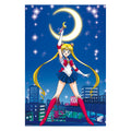 Productafbeelding Sailor Moon - Personages Maxi Poster