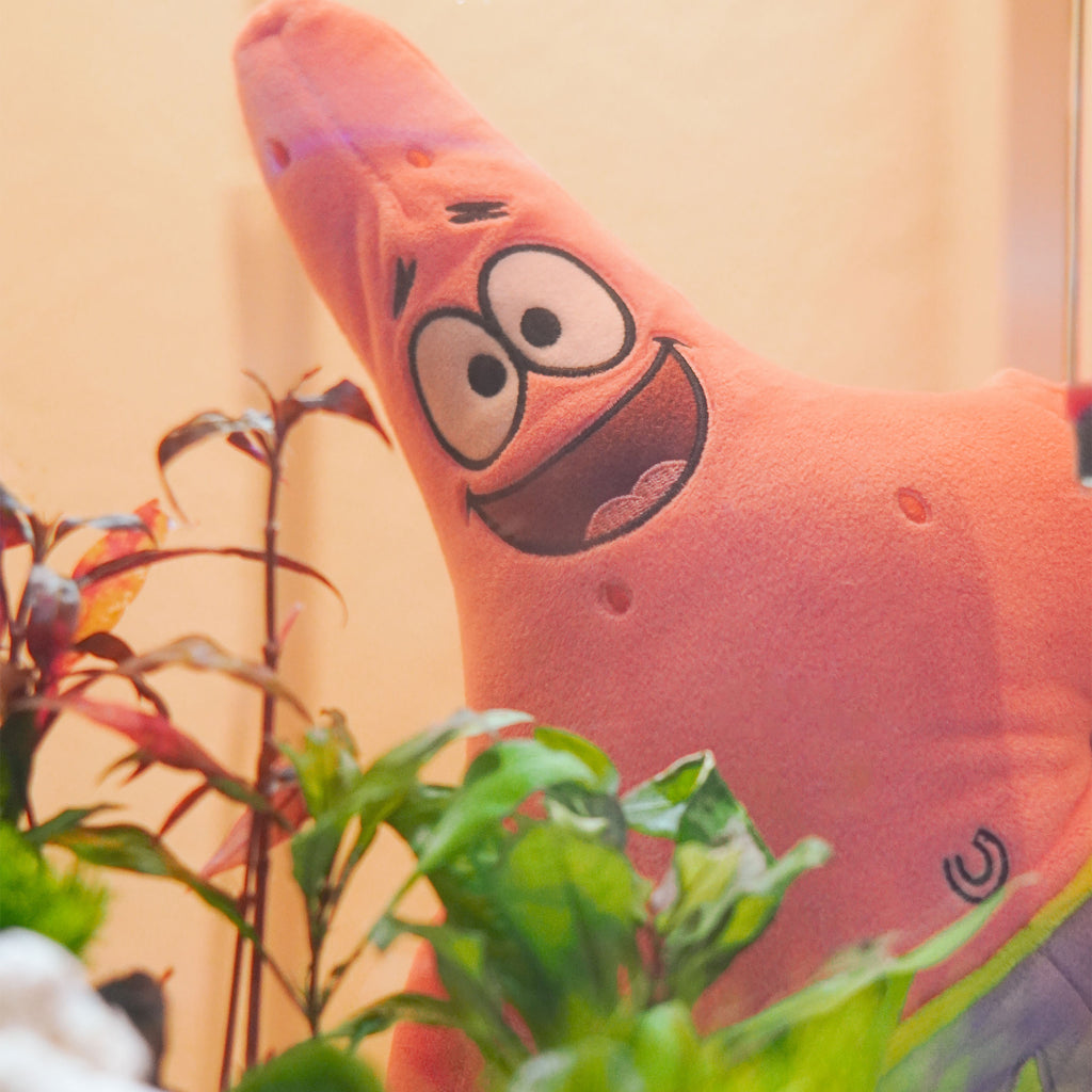 Productafbeelding SpongeBob - Patrick Knuffel Figuur