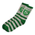 Productafbeelding Harry Potter - Slytherin Logo Sokken groen-grijs