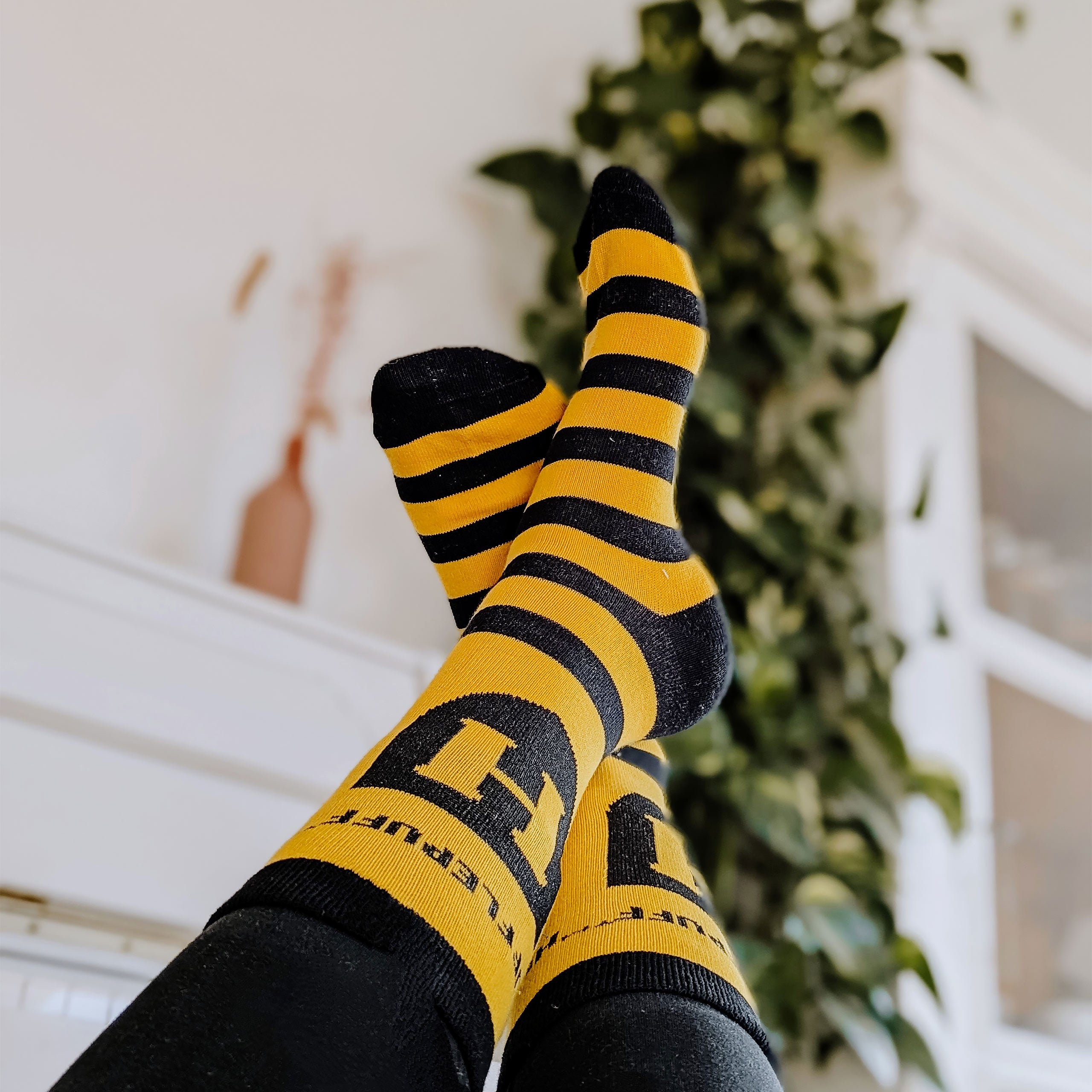 Productafbeelding Harry Potter - Hufflepuff Logo Sokken geel-zwart