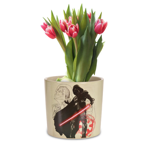 Productafbeelding Star Wars - Darth Vader Bloempot