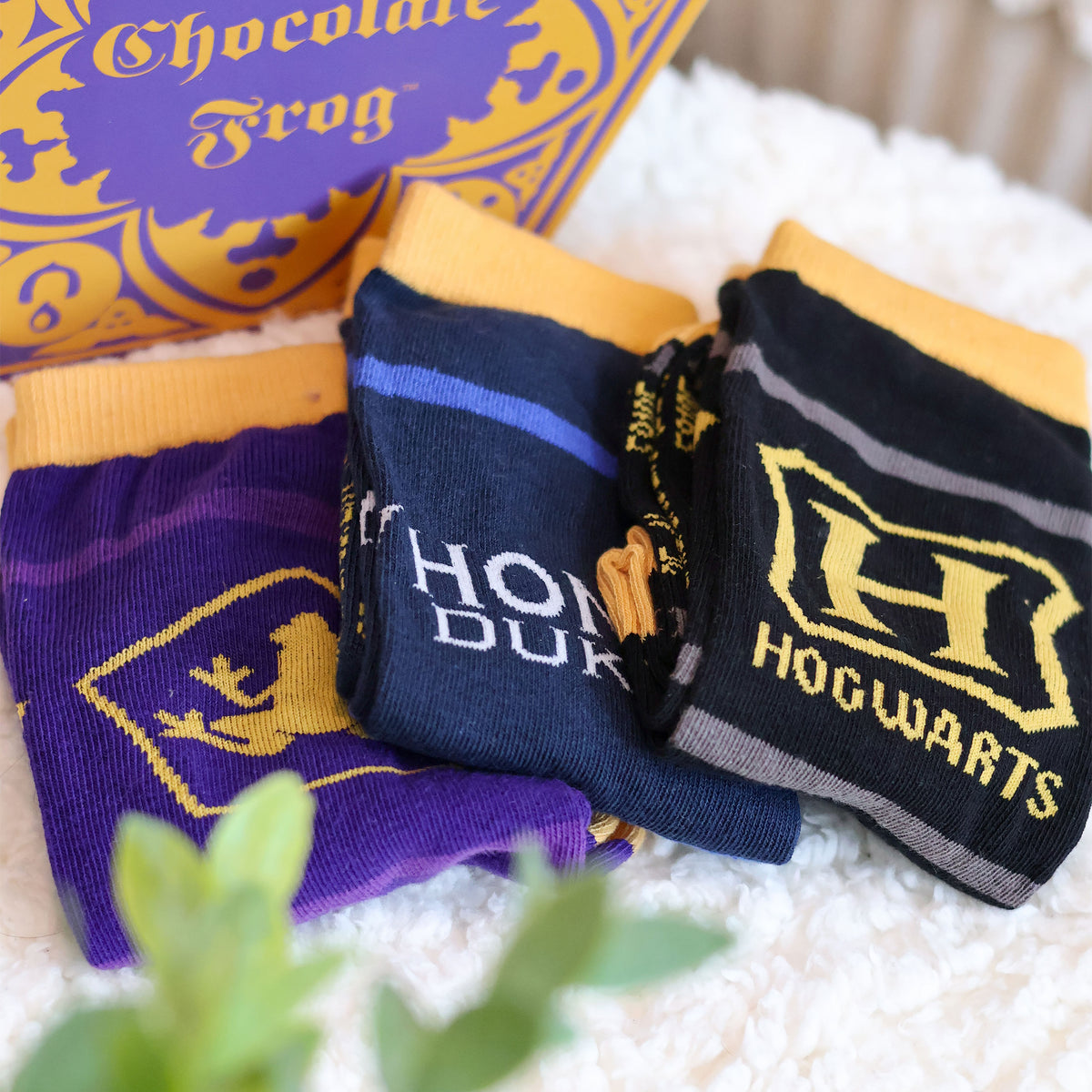 Productafbeelding Harry Potter - 3 paar sokken set in Chocolade Kikker doos