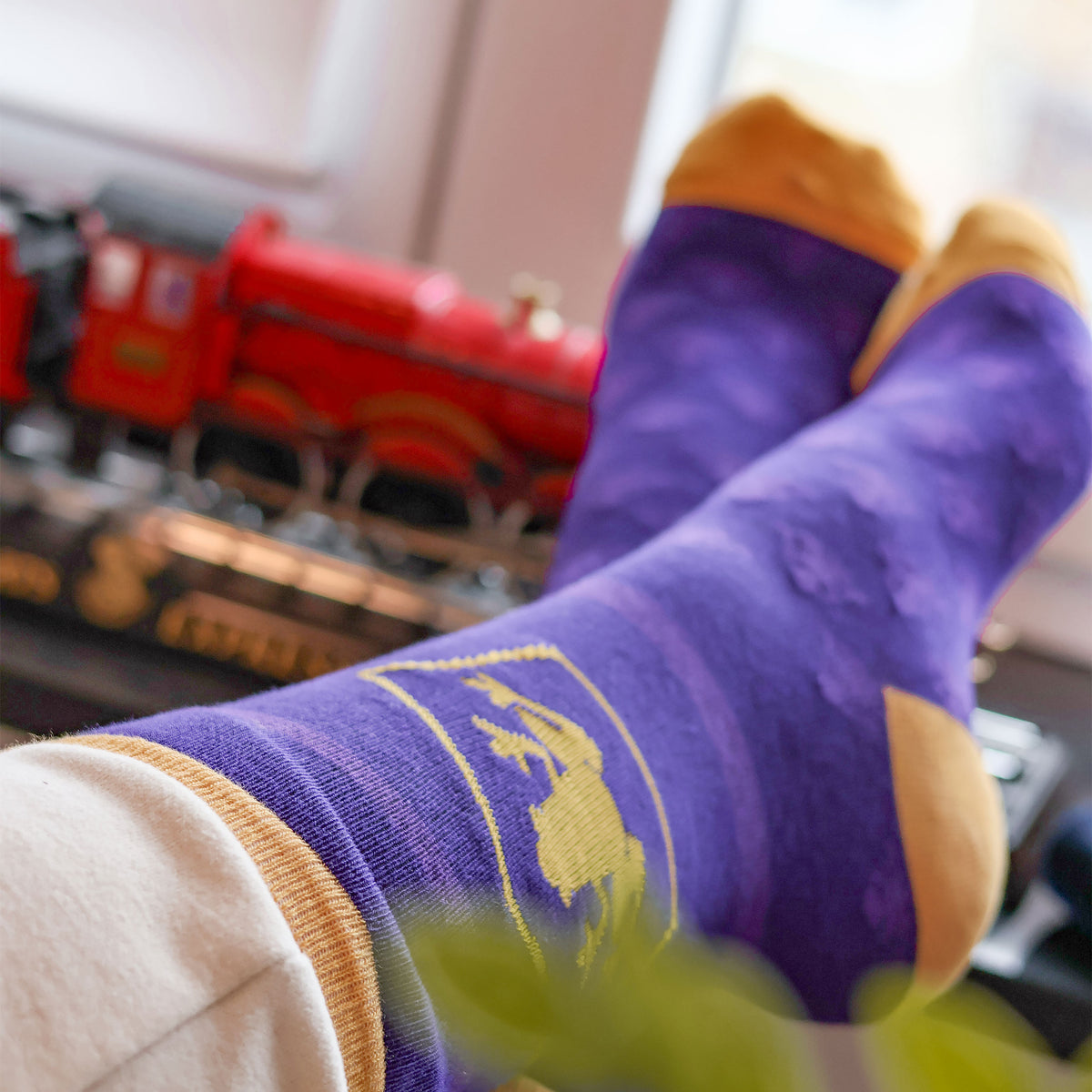 Productafbeelding Harry Potter - 3 paar sokken set in Chocolade Kikker doos