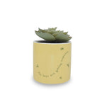 Productafbeelding Winnie de Poeh - Mini Bloempot