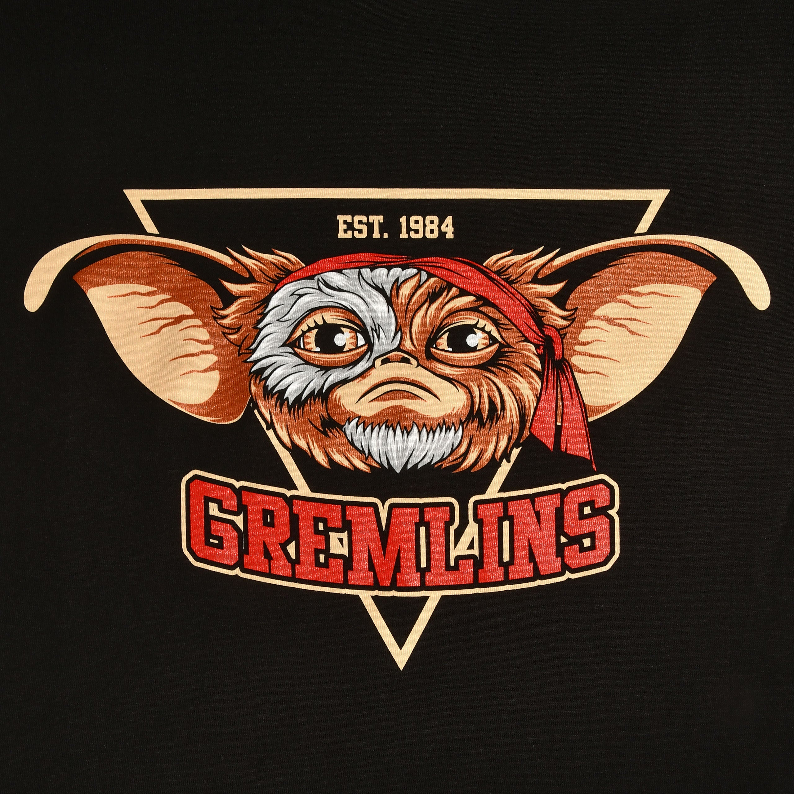 Productafbeelding Gremlins Est. 1984 zwart T-shirt