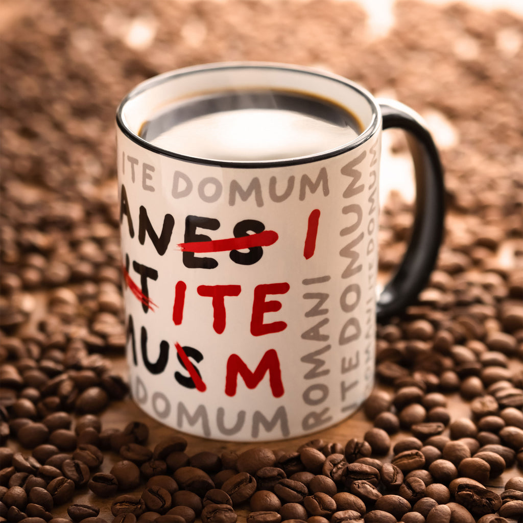 Productafbeelding Romani Ite Domum mok voor Monty Python fans