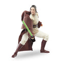 Productafbeelding Star Wars: The Acolyte - Jedi Master Indara Black Series Actiefiguur