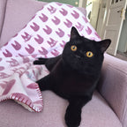 Productafbeelding Kiki’s Delivery Service - Jiji Silhouet Fleece deken met Teddyvoering