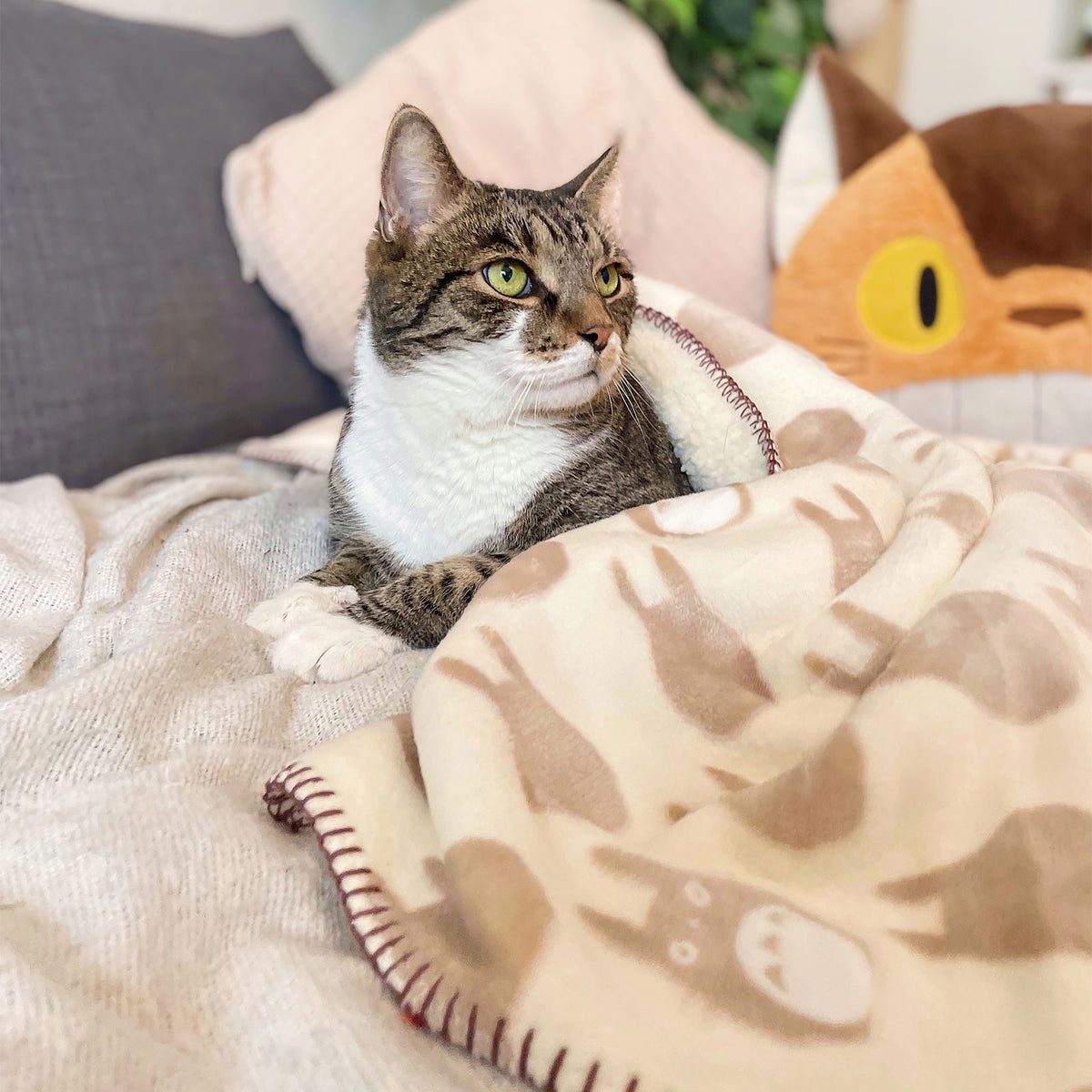 Productafbeelding Totoro - Silhouet knuffeldeken met teddyvoering