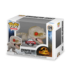 Productafbeelding Jurassic World - Atrociraptor (Ghost) Funko Pop Figuur
