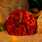 Productafbeelding Jurassic Park - Medaillon en Pin Geschenkbox gelimiteerde editie