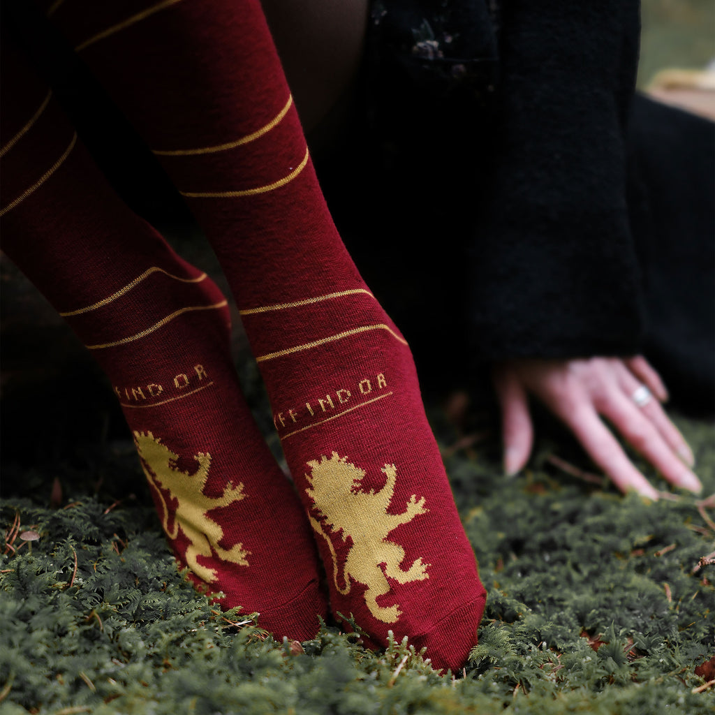 Productafbeelding Harry Potter - Griffoendor Overknee Sokken 2-Pack