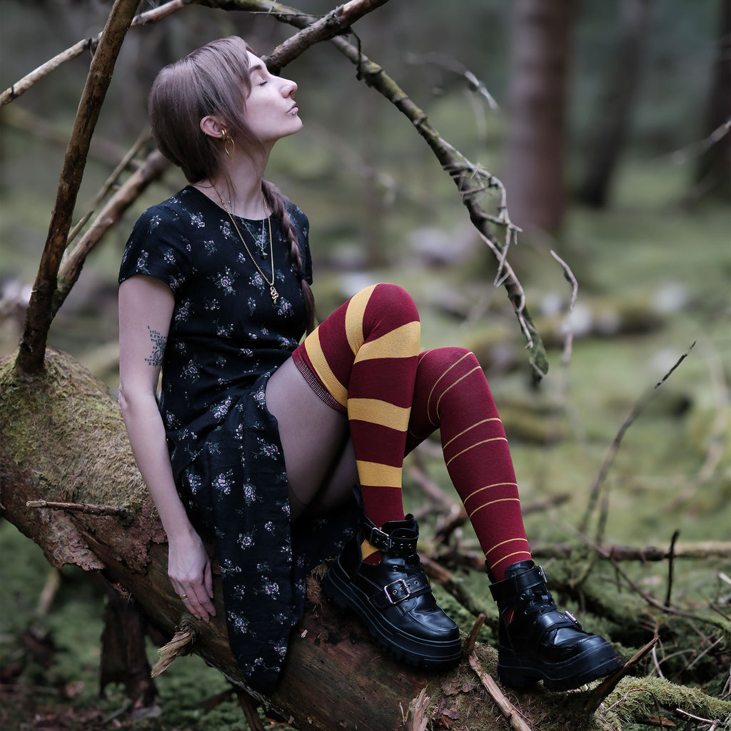Productafbeelding Harry Potter - Griffoendor Overknee Sokken 2-Pack