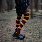 Productafbeelding Harry Potter - Griffoendor Overknee Sokken 2-Pack