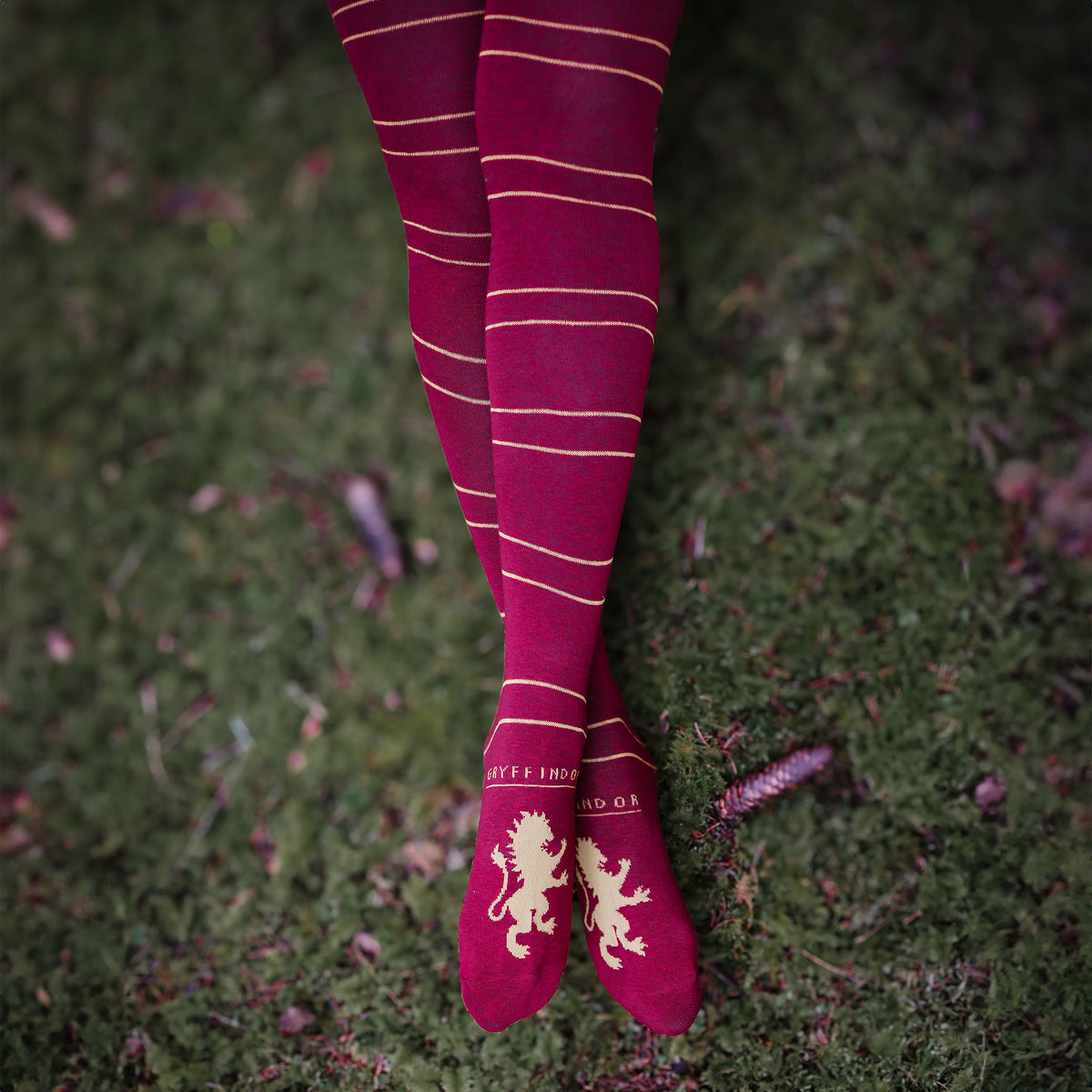 Productafbeelding Harry Potter - Griffoendor Overknee Sokken 2-Pack
