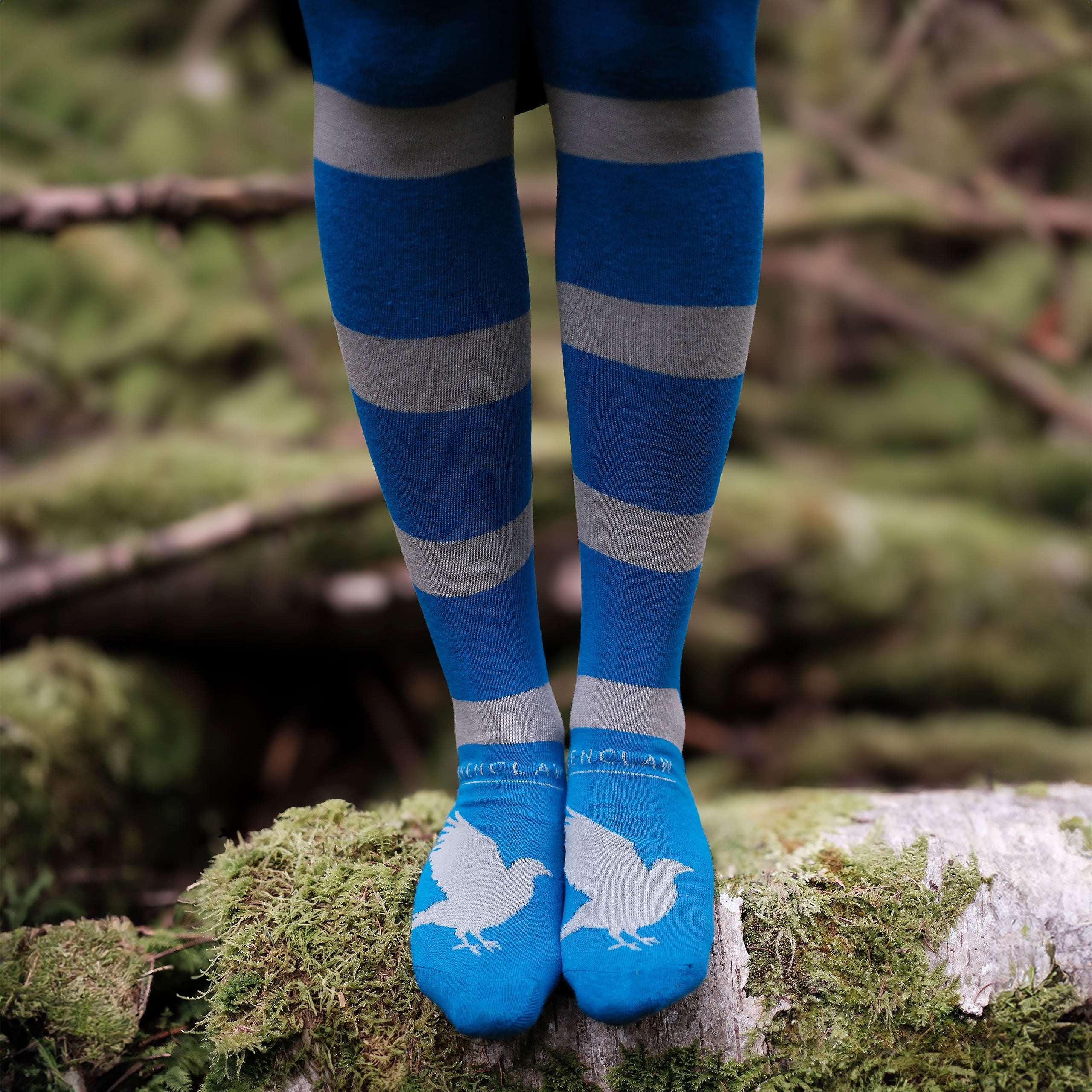 Productafbeelding Harry Potter - Ravenklauw Overknee Sokken 2-Pack