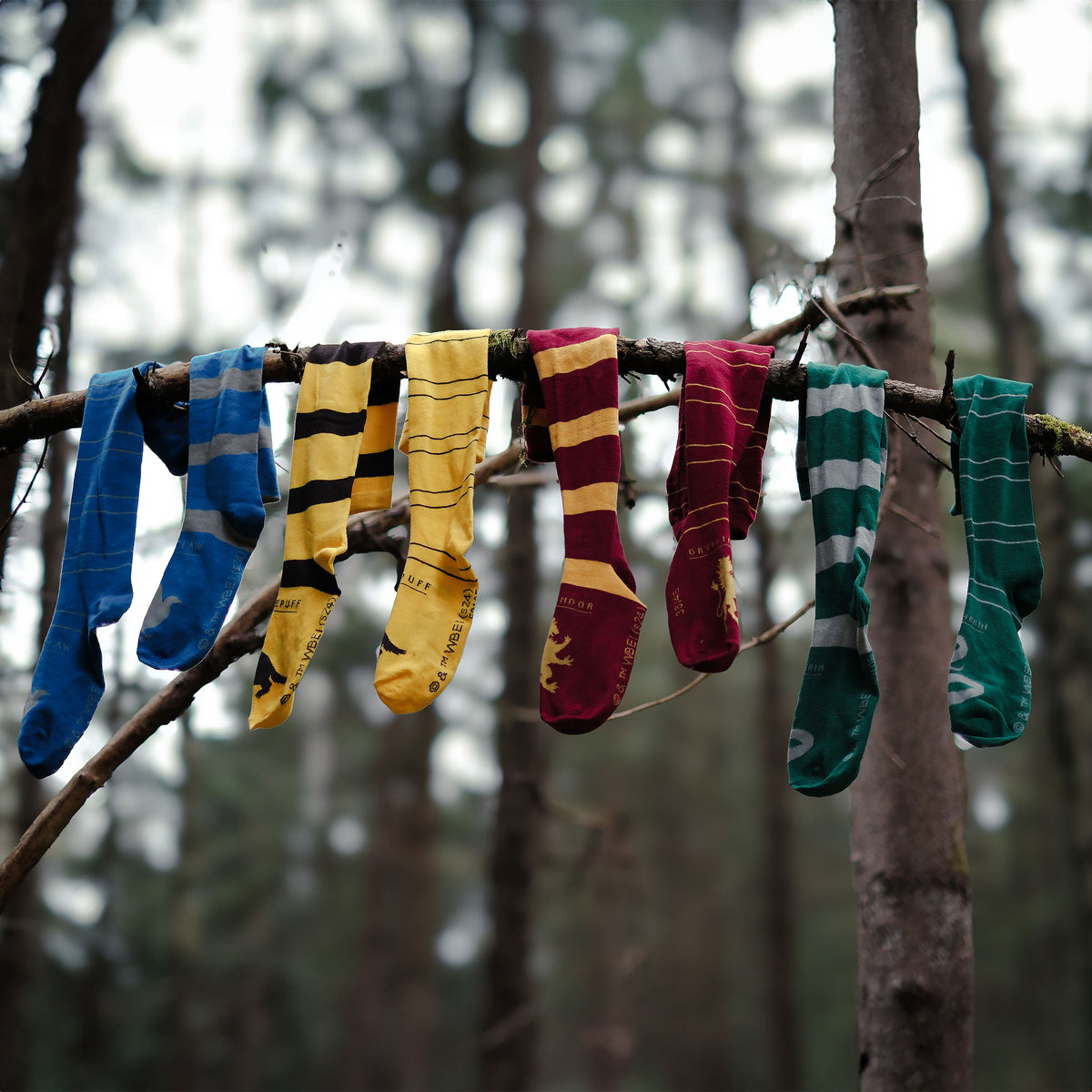 Productafbeelding Harry Potter - Ravenklauw Overknee Sokken 2-Pack