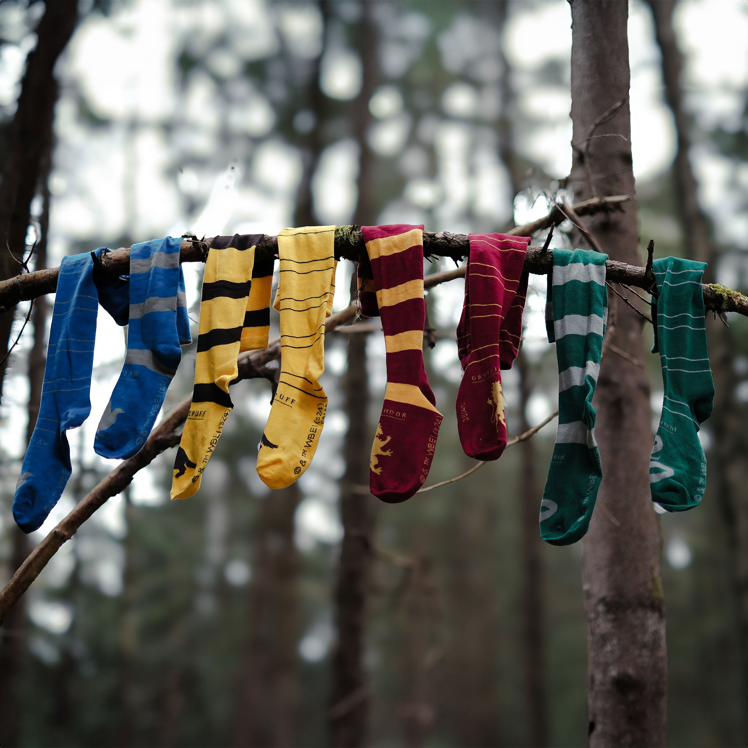 Productafbeelding Harry Potter - Huffelpuf Overknee Sokken 2-Pack