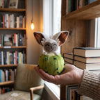 Productafbeelding Avatar: De Legende van Aang - Momo Cactus Stickie Pluche Knuffel