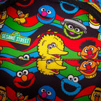 Productafbeelding Sesamstraat - Cookie Monster Pluche Rugzak