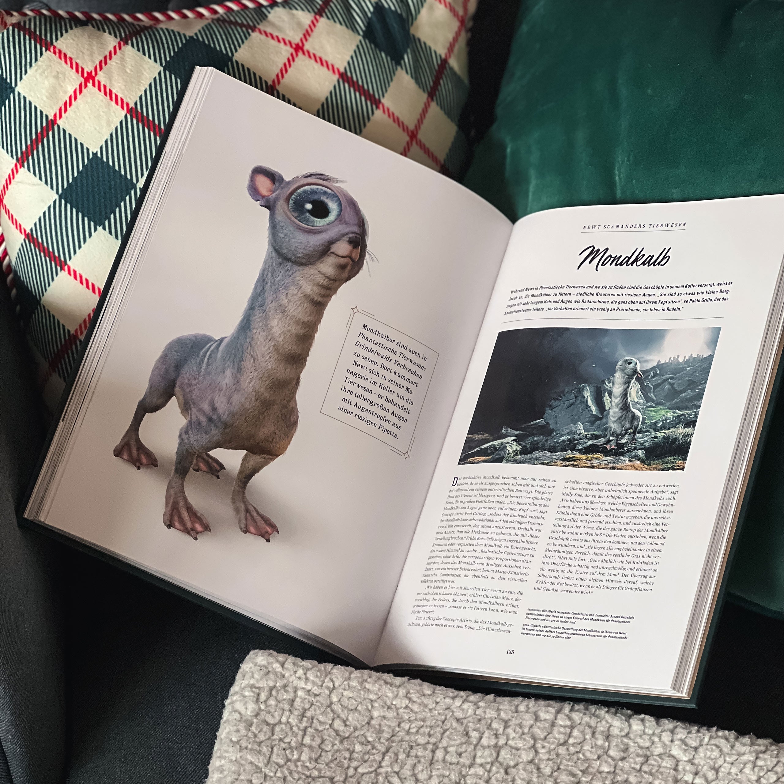 Productafbeelding Harry Potter - WIE IS WIE - De magische wezens van de tovenaarswereld