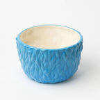 Productafbeelding Sesamstraat - Cookie Monster Muesli Kom