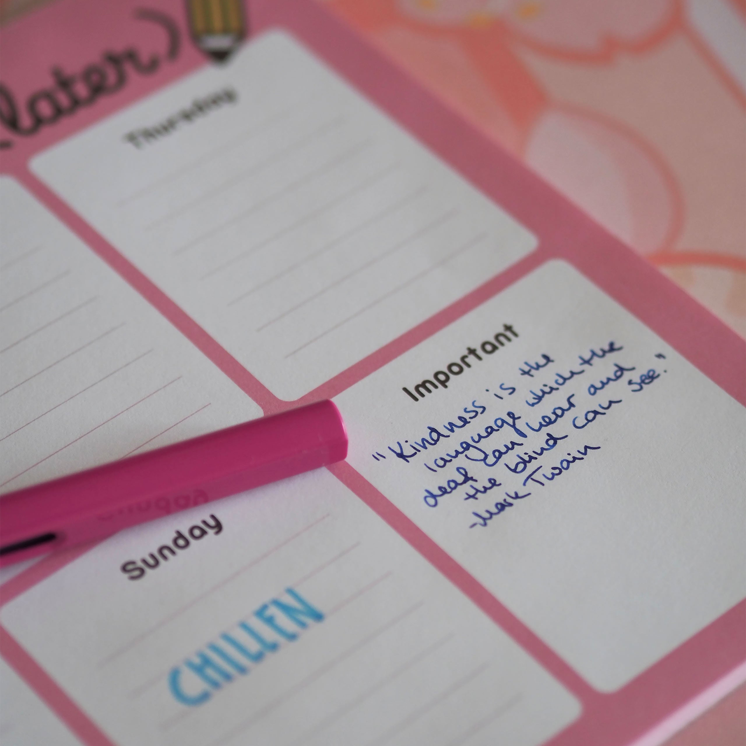Productafbeelding Pusheen - Dingen om later te doen Weekplanner