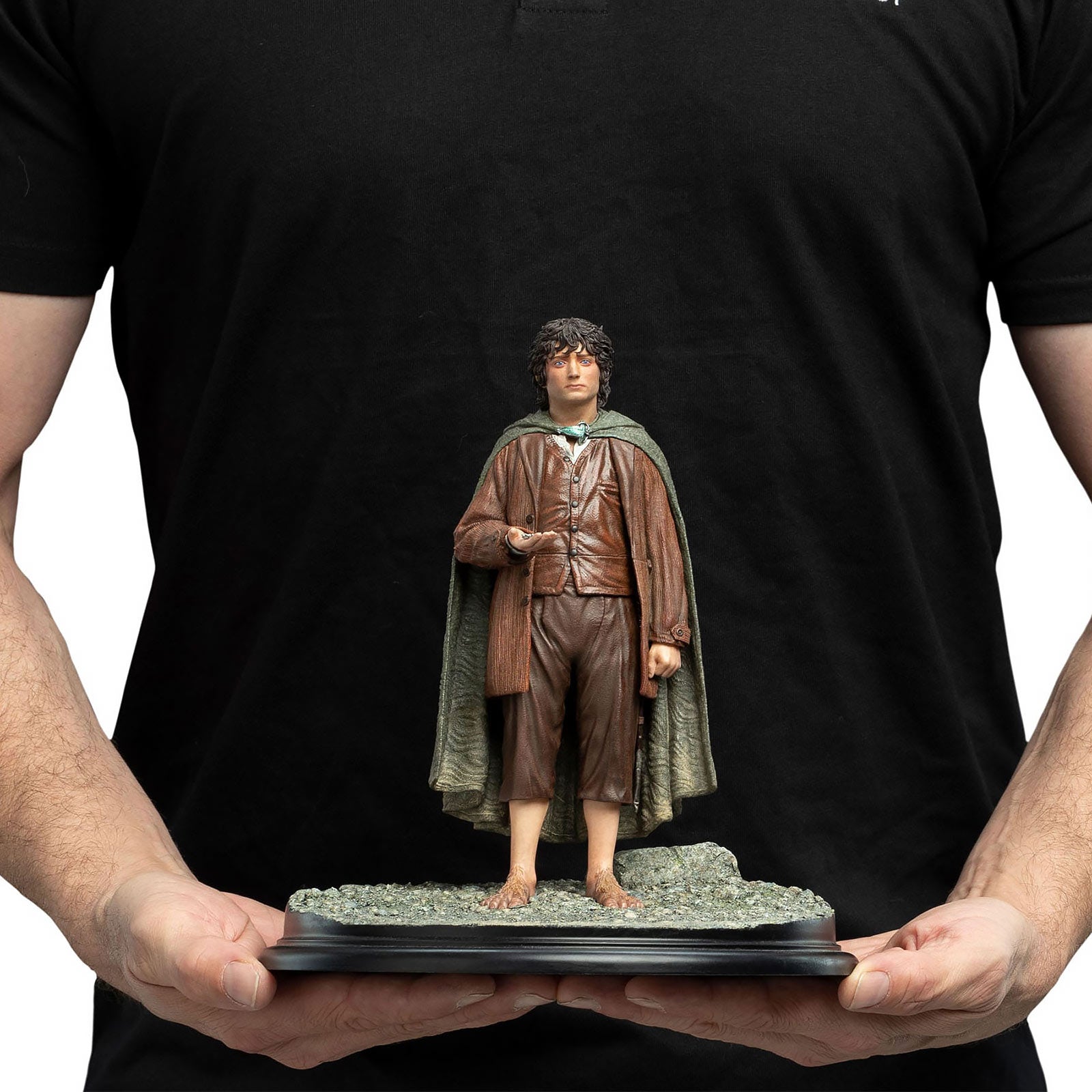 Productafbeelding The Lord of the Rings - Frodo Beeld