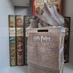 Productafbeelding Harry Potter - Gringotts Bank met Draak Spaarpot