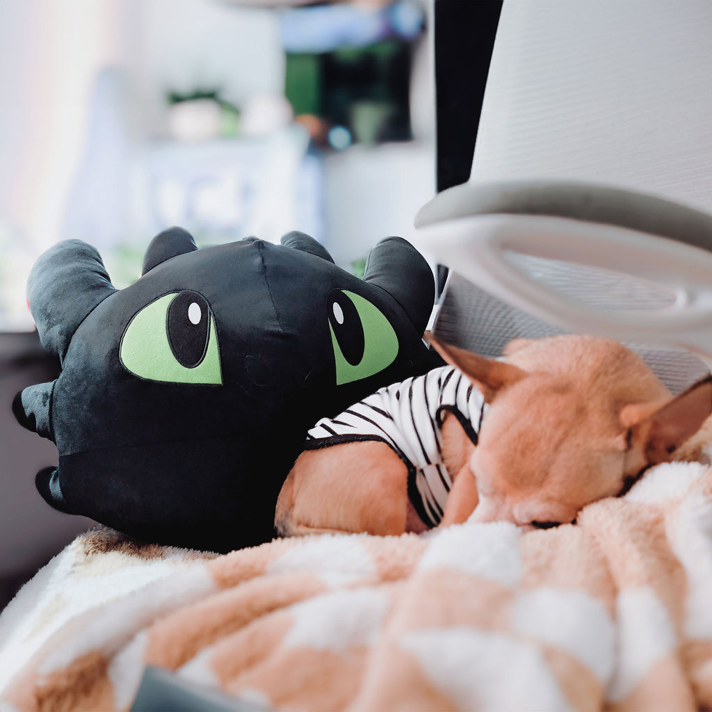 Product image How to Train Your Dragon - Toothless Cushion