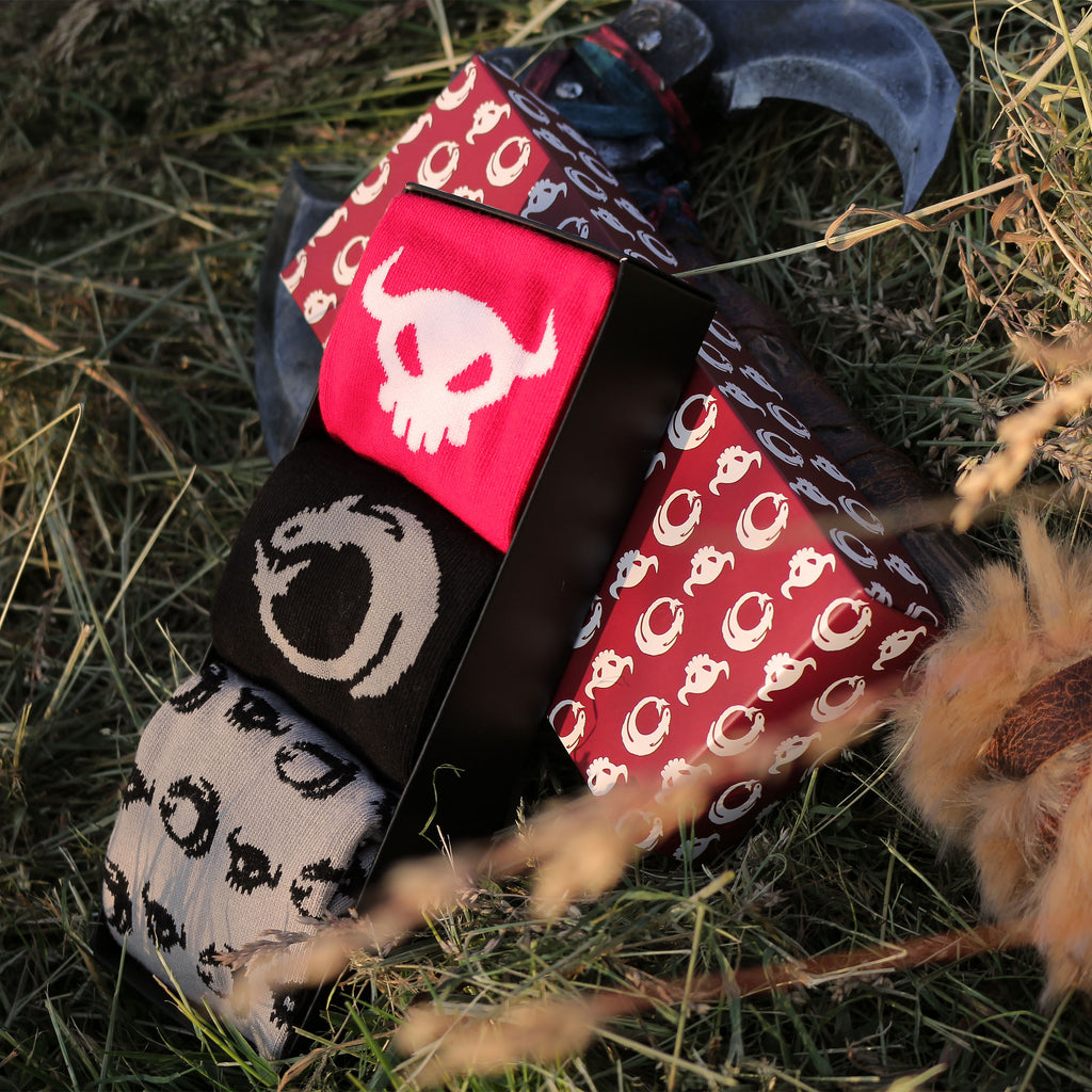Productafbeelding Hoe Tem Je Een Draak - Symbolen Sokken 3-Pack