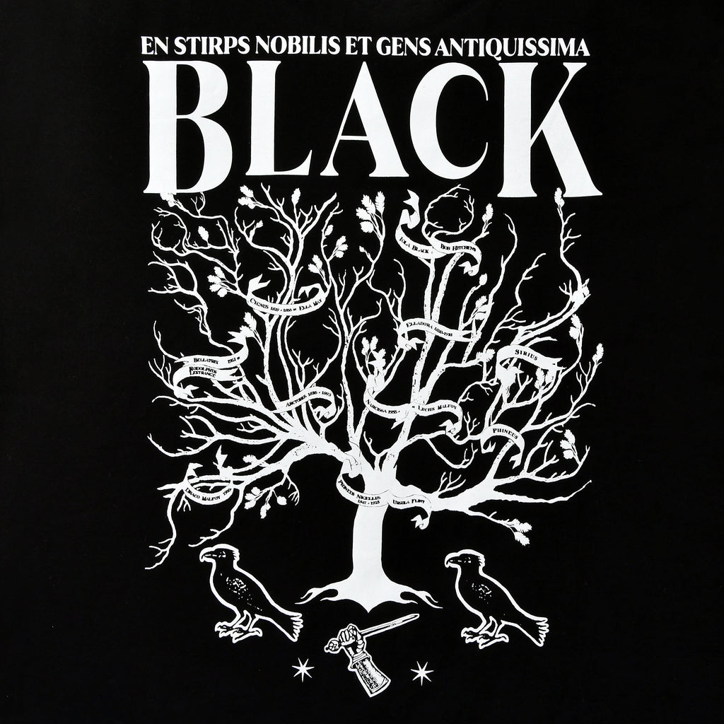 Productafbeelding Harry Potter - House of Black T-shirt zwart