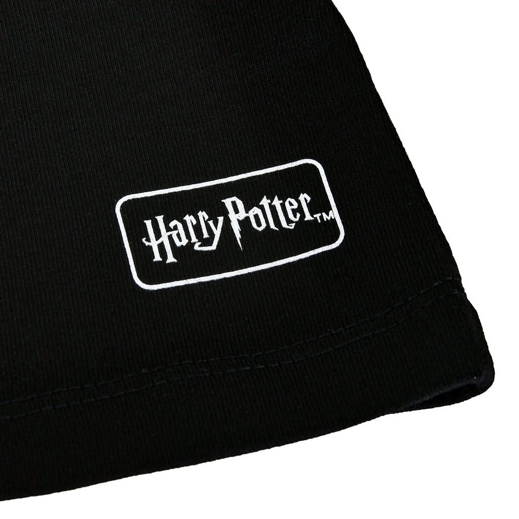 Productafbeelding Harry Potter - House of Black T-shirt zwart