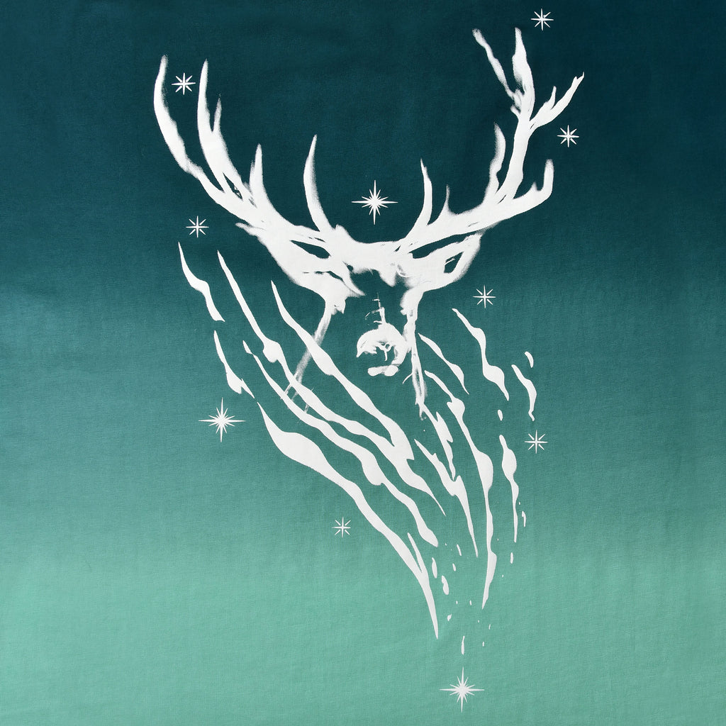 Productafbeelding Harry Potter - Expecto Patronum T-shirt