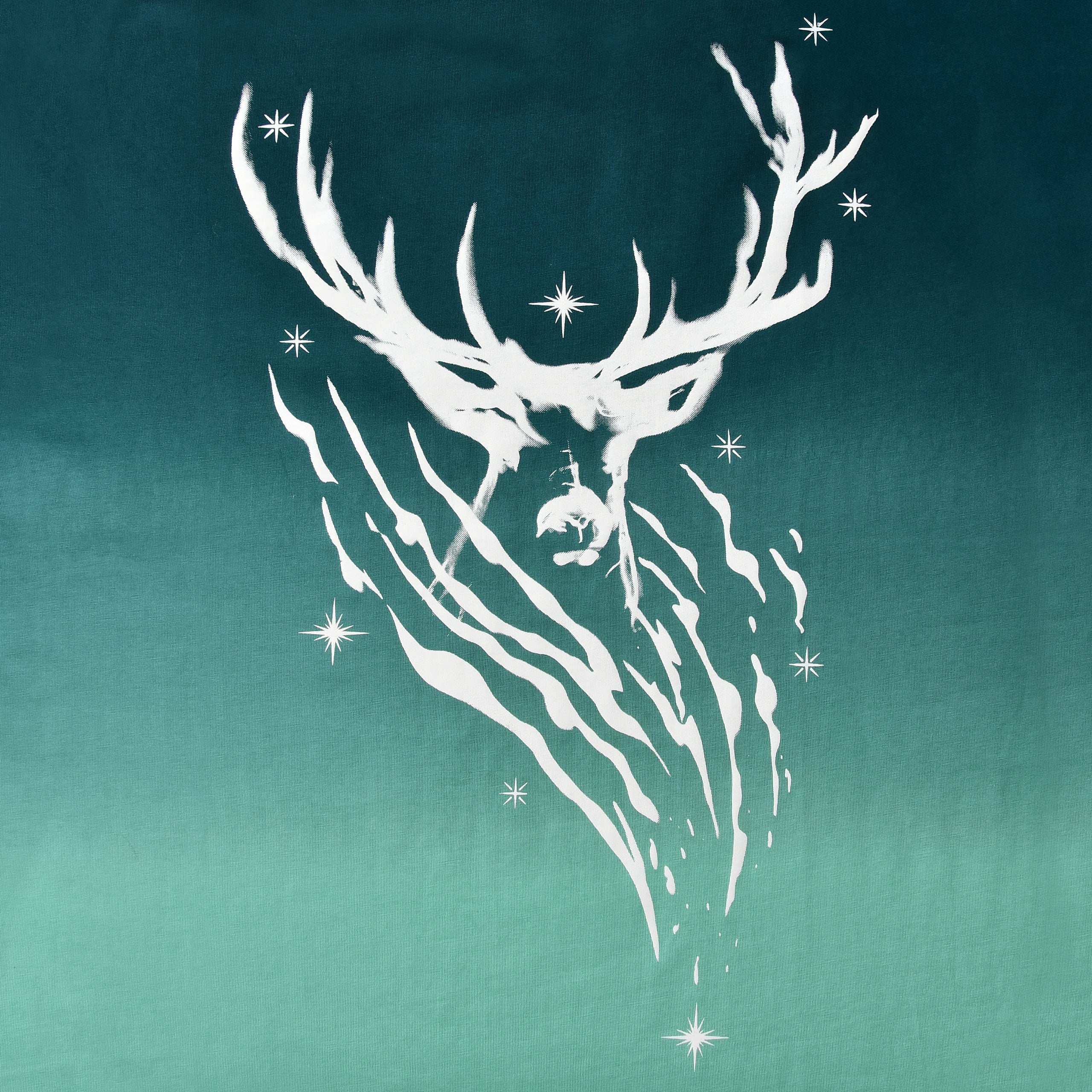 Productafbeelding Harry Potter - Expecto Patronum T-shirt