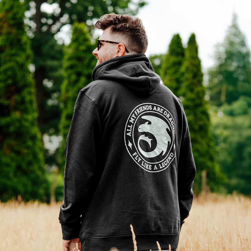 Productafbeelding Hoe Tem Je Een Draak - Night Fury Legend Hoodie zwart